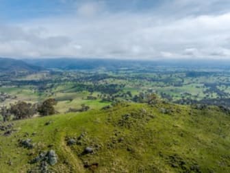 1351 Snowy Mountains Highway Tumut NSW 2720 - Image 2