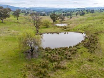1351 Snowy Mountains Highway Tumut NSW 2720 - Image 1