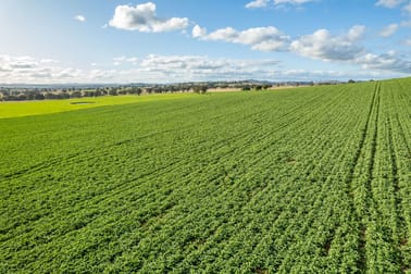 Woodstock NSW 2793 - Image 1