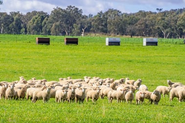 Woodstock NSW 2793 - Image 2