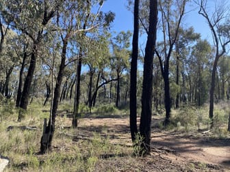 Lot 15 DP752086 Carlisle Road Fifield NSW 2875 - Image 2