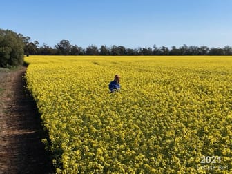 2111 Farrendale Rd "Myola" Narromine NSW 2821 - Image 2