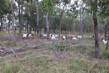 570 Monduran Road Waterloo QLD 4673 - Image 1