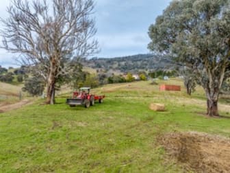 1351 Snowy Mountains Highway Tumut NSW 2720 - Image 2