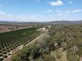 211 Bruce Weir Road Dimbulah QLD 4872 - Image 3