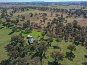 Young NSW 2594 - Image 3
