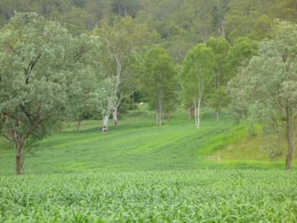 2501 Rocky River Road Rocky River NSW 2372 - Image 1