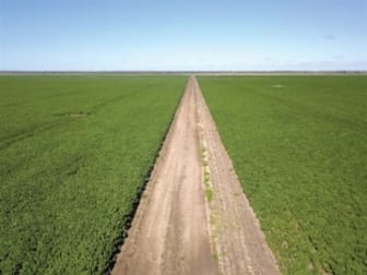 1414 Marlbone Road Burren Junction NSW 2386 - Image 1