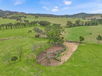 650 Donalds Creek Road Scone NSW 2337 - Image 3