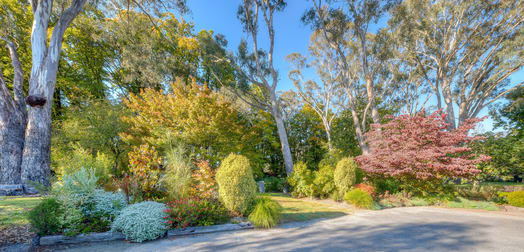 6430 Great Alpine Road Eurobin VIC 3739 - Image 3