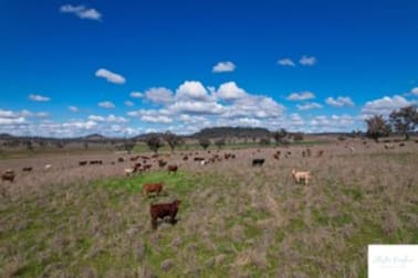 Gunnedah NSW 2380 - Image 2