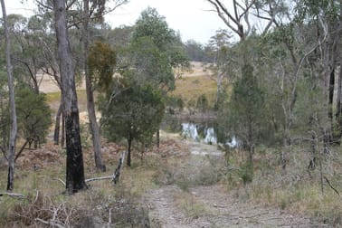 Lot 214 Mount Lindesay Road Tenterfield NSW 2372 - Image 2