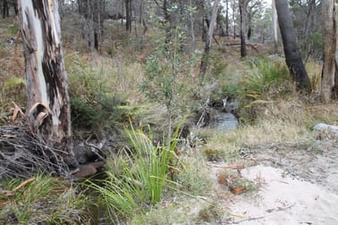 Lot 214 Mount Lindesay Road Tenterfield NSW 2372 - Image 3