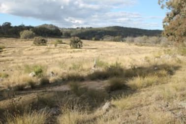 Lots 40 & 41 Gunyah Road Tenterfield NSW 2372 - Image 2