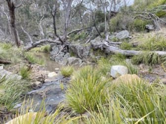 228 Alpha Road Tambaroora Hill End Mudgee NSW 2850 - Image 3