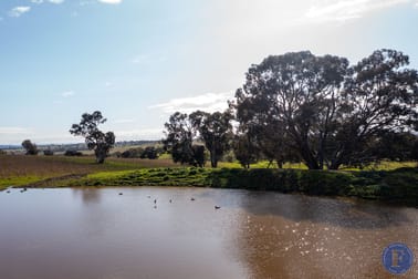 Lot 3 Milo Roads Murringo NSW 2586 - Image 2