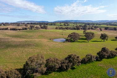 Lot 3 Milo Road Murringo NSW 2586 - Image 3