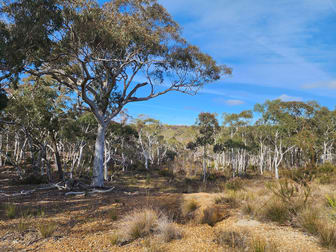 844 Willow Glen Road Lower Boro NSW 2580 - Image 2