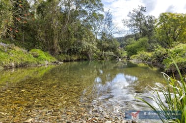 555 Upper Buckrabendinni Rd Buckra Bendinni NSW 2449 - Image 2