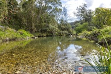 555 Upper Buckrabendinni Rd Buckra Bendinni NSW 2449 - Image 2