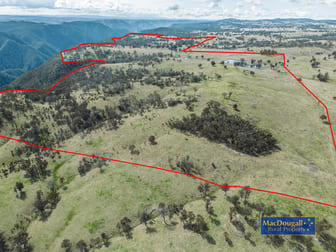 219 Blue Knobby Road Enmore NSW 2350 - Image 1