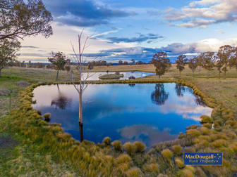 219 Blue Knobby Road Enmore NSW 2350 - Image 2