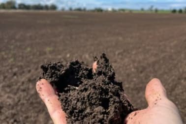 Click to view all images Settlement Bridge Road Canowindra NSW 2804 - Image 2