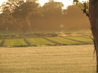 Settlement Bridge Road Canowindra NSW 2804 - Image 3