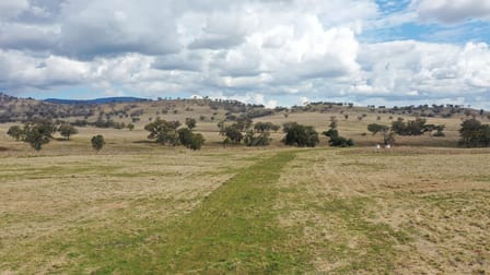 877 Swinging Ridges Road Willow Tree NSW 2339 - Image 3