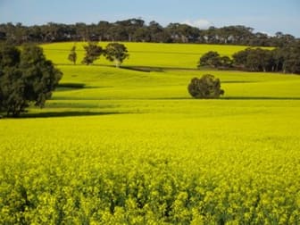 532 Popanyinning West Road Popanyinning WA 6309 - Image 2