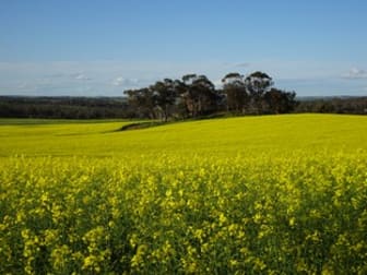 532 Popanyinning West Road Popanyinning WA 6309 - Image 3