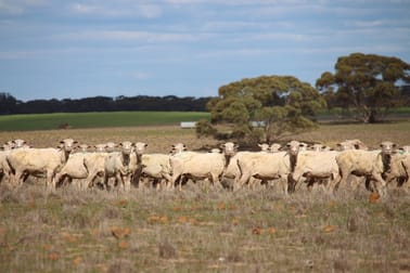 570 Ridgway Road Lameroo SA 5302 - Image 3