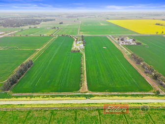70 Brookmann's Road Finley NSW 2713 - Image 1