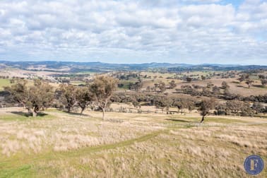 7448 Hume Highway Jugiong NSW 2726 - Image 2