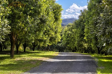 31 Wesley Avenue Donnellyville NSW 2447 - Image 3
