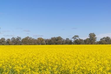 Aratula Lower River Road Tocumwal NSW 2714 - Image 1
