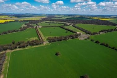 Click to view all images 1167 Walbundrie Road Culcairn NSW 2660 - Image 1