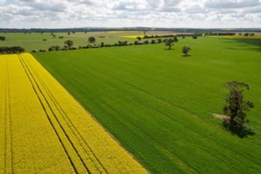 Click to view all images 1167 Walbundrie Road Culcairn NSW 2660 - Image 2