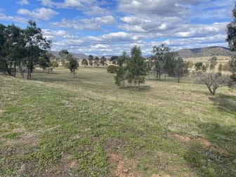 1000 Yarrawa Road Yarrawa NSW 2328 - Image 2