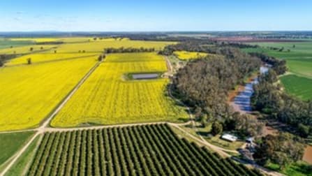 Kirkton 535 Burroway Road Narromine NSW 2821 - Image 2