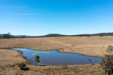 970 Tabulam Road Tabulam NSW 2469 - Image 3