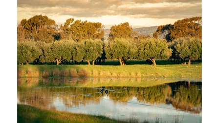 152 Wilkinsons Lane Euroa VIC 3666 - Image 3