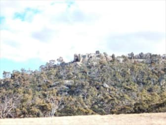 "Shaws Hill" Ironmungie Road Dalgety NSW 2628 - Image 3