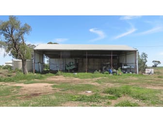 136 Murraiman Rd - Almora Coonamble NSW 2829 - Image 3