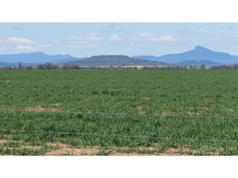 136 Murraiman Rd - Almora Coonamble NSW 2829 - Image 1
