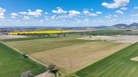 'Weroona' Willans Lane Tamworth NSW 2340 - Image 1