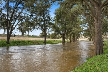 113 Three Rivers Road Molong NSW 2866 - Image 3