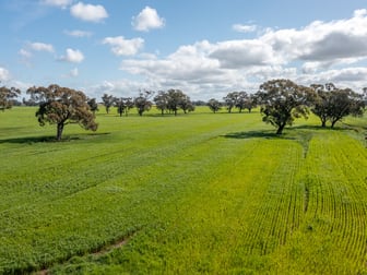 1 Humeden Road Collendina NSW 2646 - Image 1