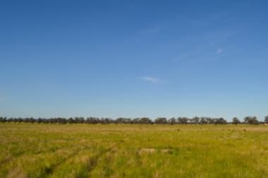 324 Thanowring School Road Temora NSW 2666 - Image 1