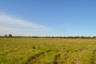 324 Thanowring School Road Temora NSW 2666 - Image 3